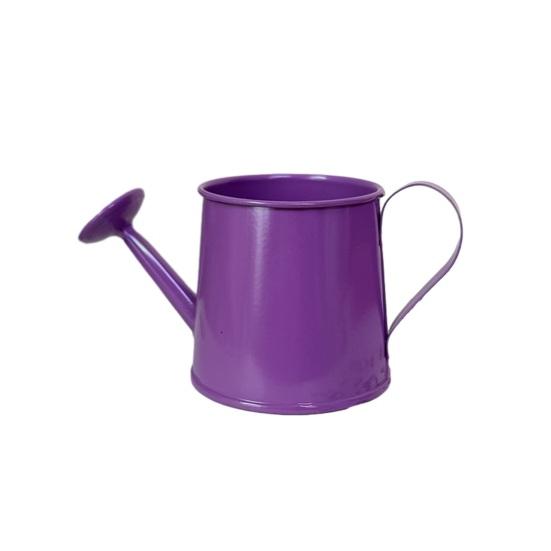 Mini Watering Can Metal Vintage Watering Pot with Long Spout Small Watering Can for Indoor Plants Home Decoration фиолетовый
Mini Watering Can Metal Vintage Watering Pot with Long Spout Small Watering Can for Indoor Plants Home Decoration фиолетовый