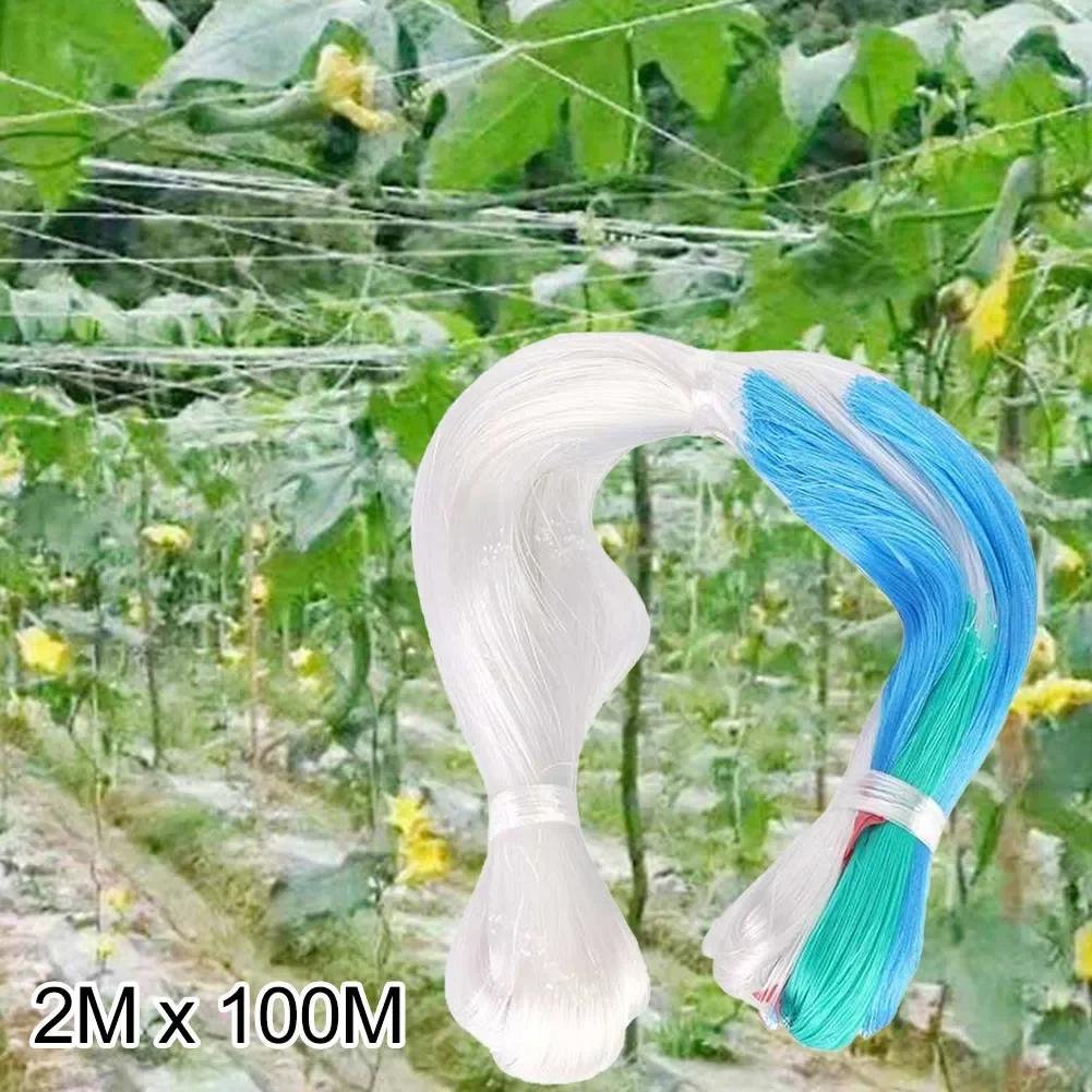 Trellis Netting Support Net Cucumber Garden Garden Vegetable Support Mesh Mesh Netting Plant Replacement Spare Parts China Mainland
Trellis Netting Support Net Cucumber Garden Garden Vegetable Support Mesh Mesh Netting Plant Replacement Spare Parts China Mainland