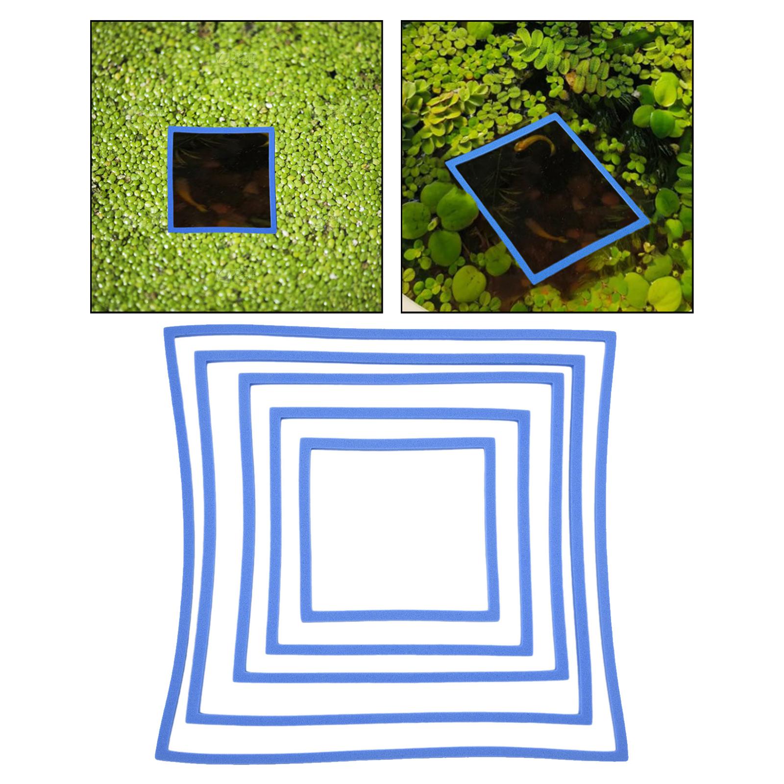 5pcs Aquarium Grass Lock Ring Set, Fish Feeding Rings, Compact Fish Feeding синій
5pcs Aquarium Grass Lock Ring Set, Fish Feeding Rings, Compact Fish Feeding синій