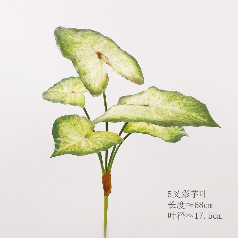 Living room green plant landscaping ornament interior decoration 3D printing simulation leaf color leaf taro
Living room green plant landscaping ornament interior decoration 3D printing simulation leaf color leaf taro