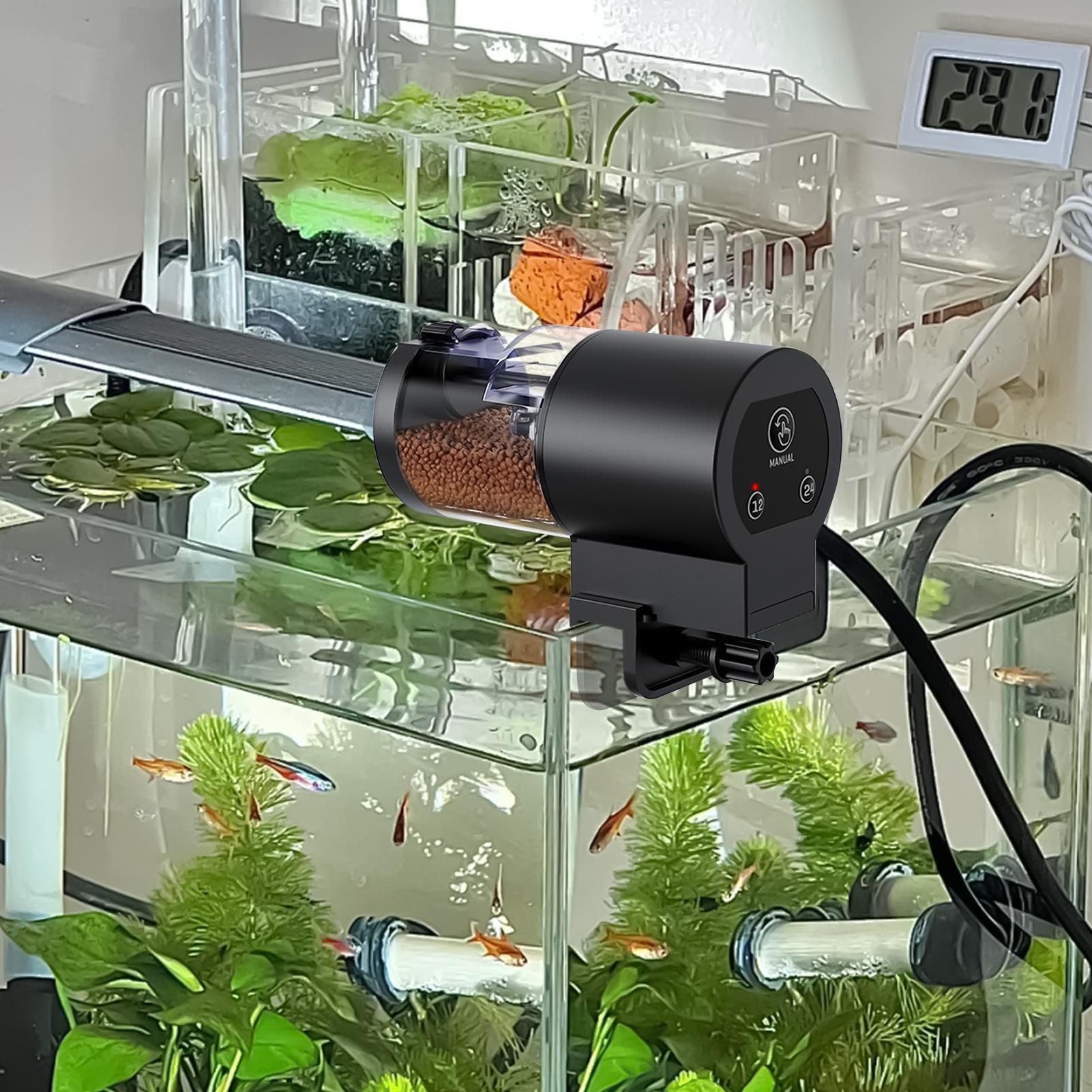 Auto Fish Feeder For Aquarium 100ml Aquarium Supplies Auto Turtle Food Feeder For Busy Professionals Travelers Beginners Keepers CN
Auto Fish Feeder For Aquarium 100ml Aquarium Supplies Auto Turtle Food Feeder For Busy Professionals Travelers Beginners Keepers CN