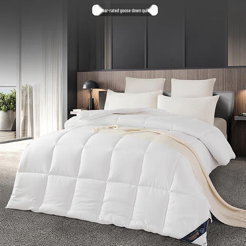 Fang en Star-Rated Lightweight Winter Quilt
Fang en Star-Rated Lightweight Winter Quilt