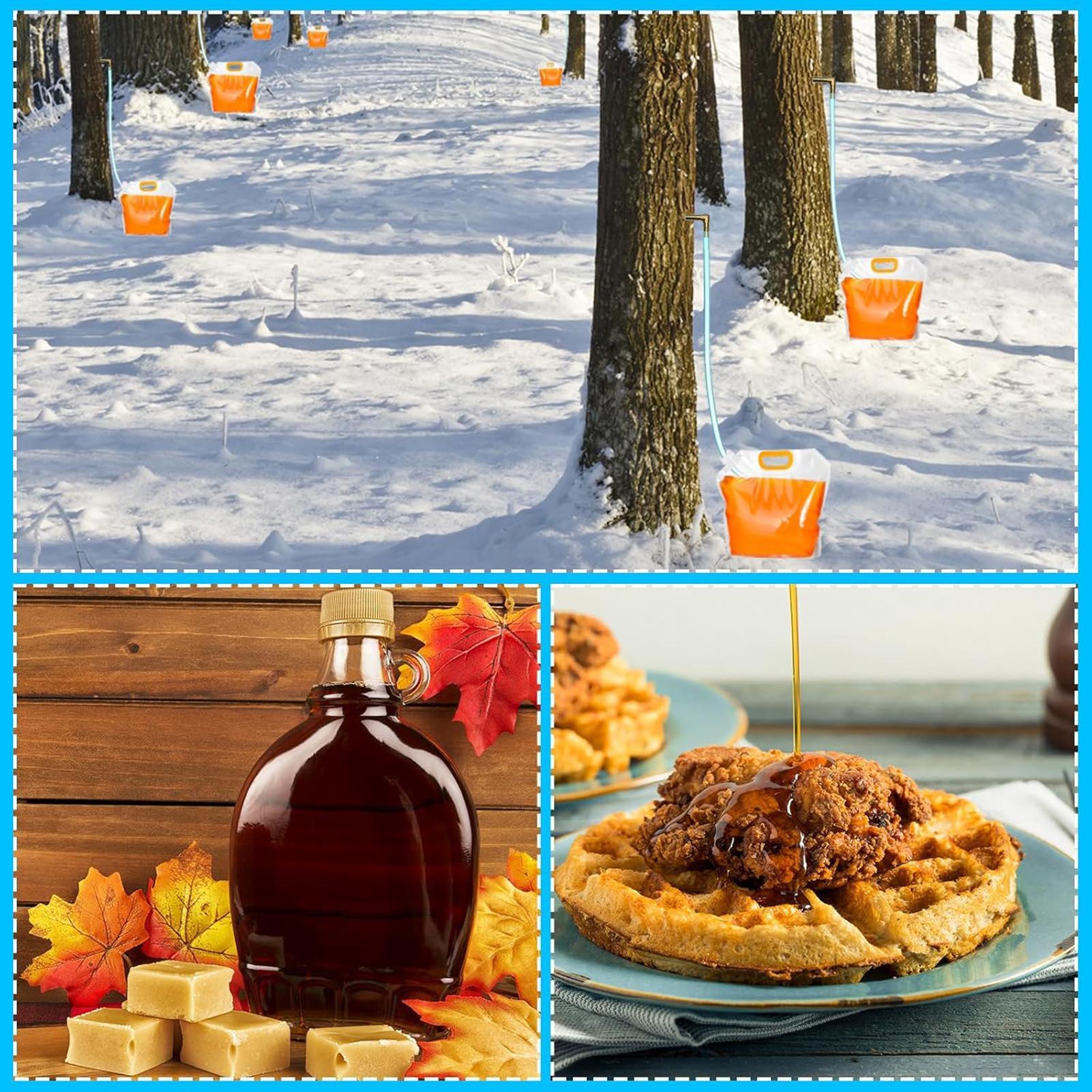 Maple Syrup Tapping Kit Maple Tree Tap L-Shaped Tip Design With Reusable Collection Bags And Frost-Resistant Tubing For Water China Mainland
Maple Syrup Tapping Kit Maple Tree Tap L-Shaped Tip Design With Reusable Collection Bags And Frost-Resistant Tubing For Water China Mainland