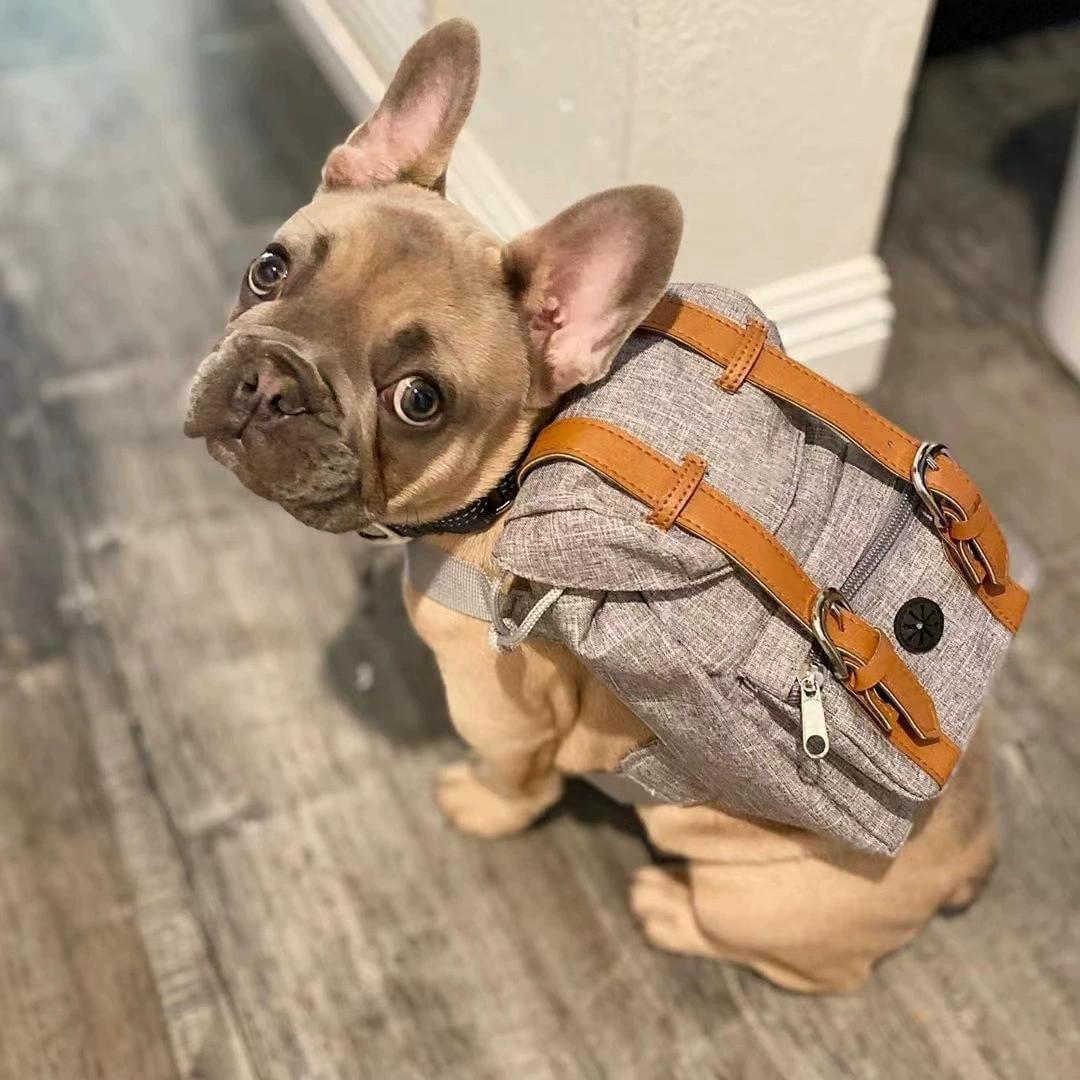 Lovely Dog Backpack Strap for Small And Medium-Sized Dogs Adjustable Pet Saddle Bag with Pocket Portable Outdoor синий
Lovely Dog Backpack Strap for Small And Medium-Sized Dogs Adjustable Pet Saddle Bag with Pocket Portable Outdoor синий