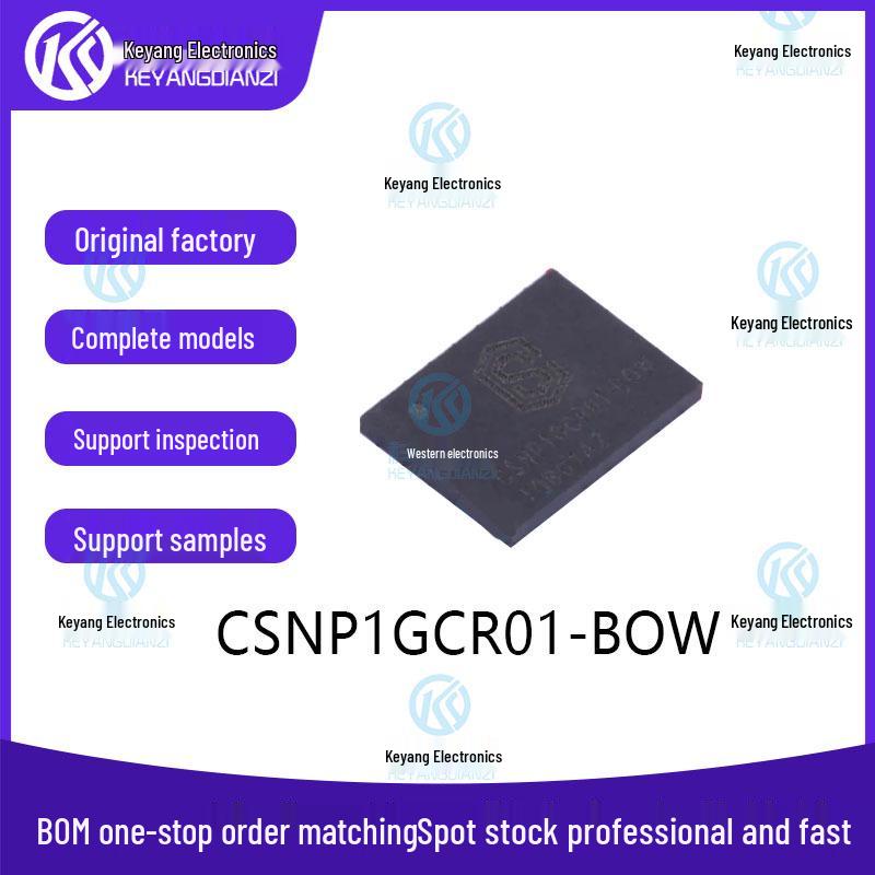 CSNP1GCR01-BOW LGA-8 Flash Memory Chip
CSNP1GCR01-BOW LGA-8 Flash Memory Chip