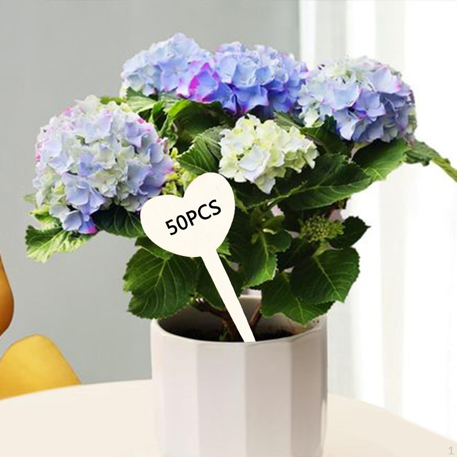 50 / Labels Potted Flowers Bonsai ers Tags Garden Stake DIY Projects Decoration Heart
50 / Labels Potted Flowers Bonsai ers Tags Garden Stake DIY Projects Decoration Heart