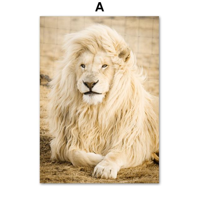 Африка Лев Слон Жираф Зебра Кактус Плакаты на скандинавскую тему и принты настенное искусство холст для декора гостиной живопись настенные панно 21*30cm
Африка Лев Слон Жираф Зебра Кактус Плакаты на скандинавскую тему и принты настенное искусство холст для декора гостиной живопись настенные панно 21*30cm