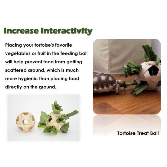 Yousheng Tortoise Treat Ball и тренировочный набор для скейтборда, набор игрушек для маленьких животных, фруктов, овощей, мячей для кормления черепах и мини-скейтборда 1 Set
Yousheng Tortoise Treat Ball и тренировочный набор для скейтборда, набор игрушек для маленьких животных, фруктов, овощей, мячей для кормления черепах и мини-скейтборда 1 Set