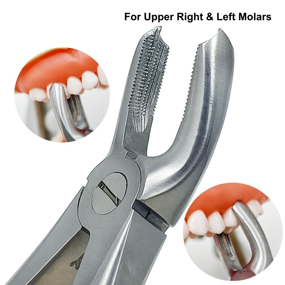 High Quality Dental Teeth Extraction Plier For Upper Molars Gripping In Depth Adult Tooth Extraction Forcep Plier 1 piece
High Quality Dental Teeth Extraction Plier For Upper Molars Gripping In Depth Adult Tooth Extraction Forcep Plier 1 piece