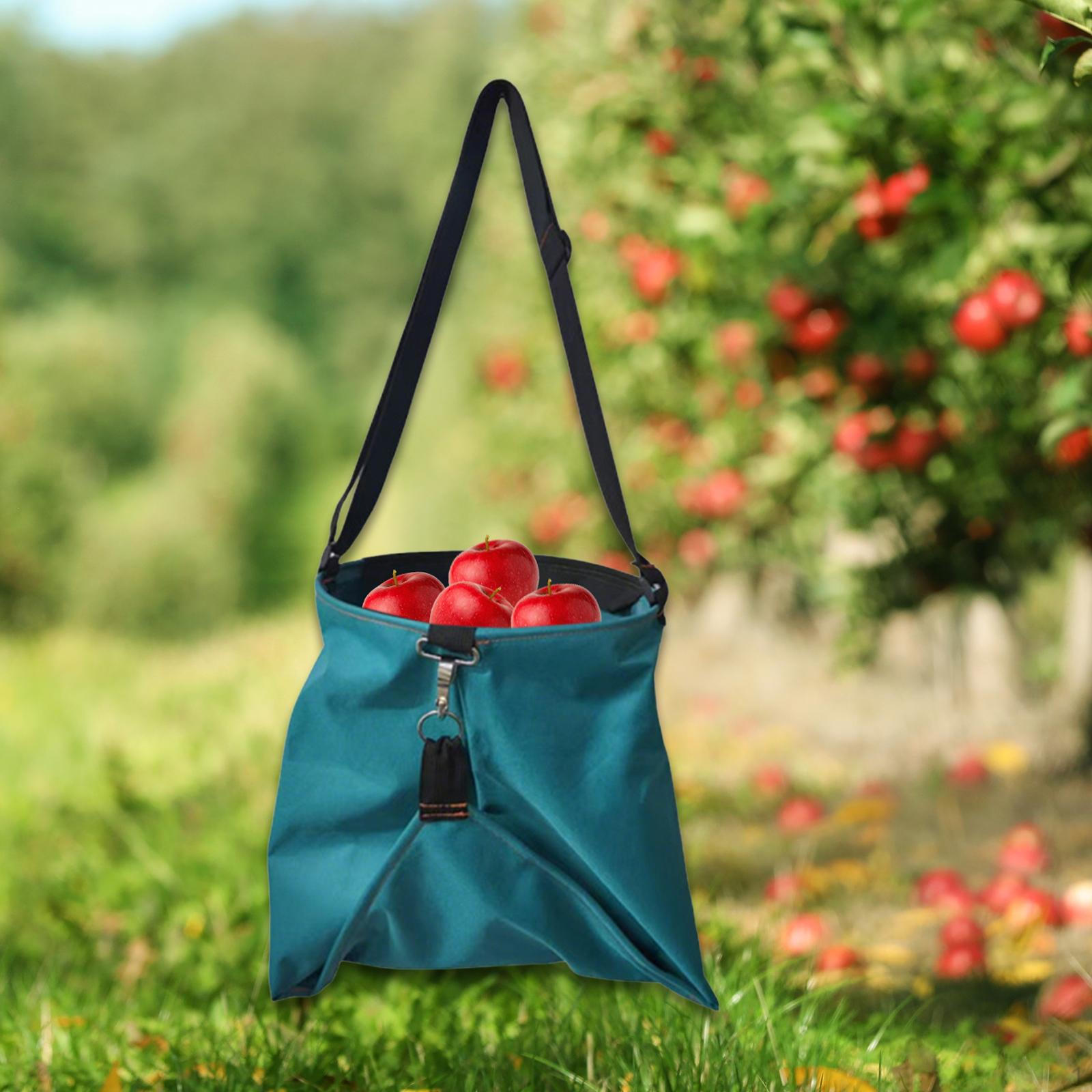 Сумка для сбора фруктов и овощей с дизайном зелёный
Сумка для сбора фруктов и овощей с дизайном зелёный