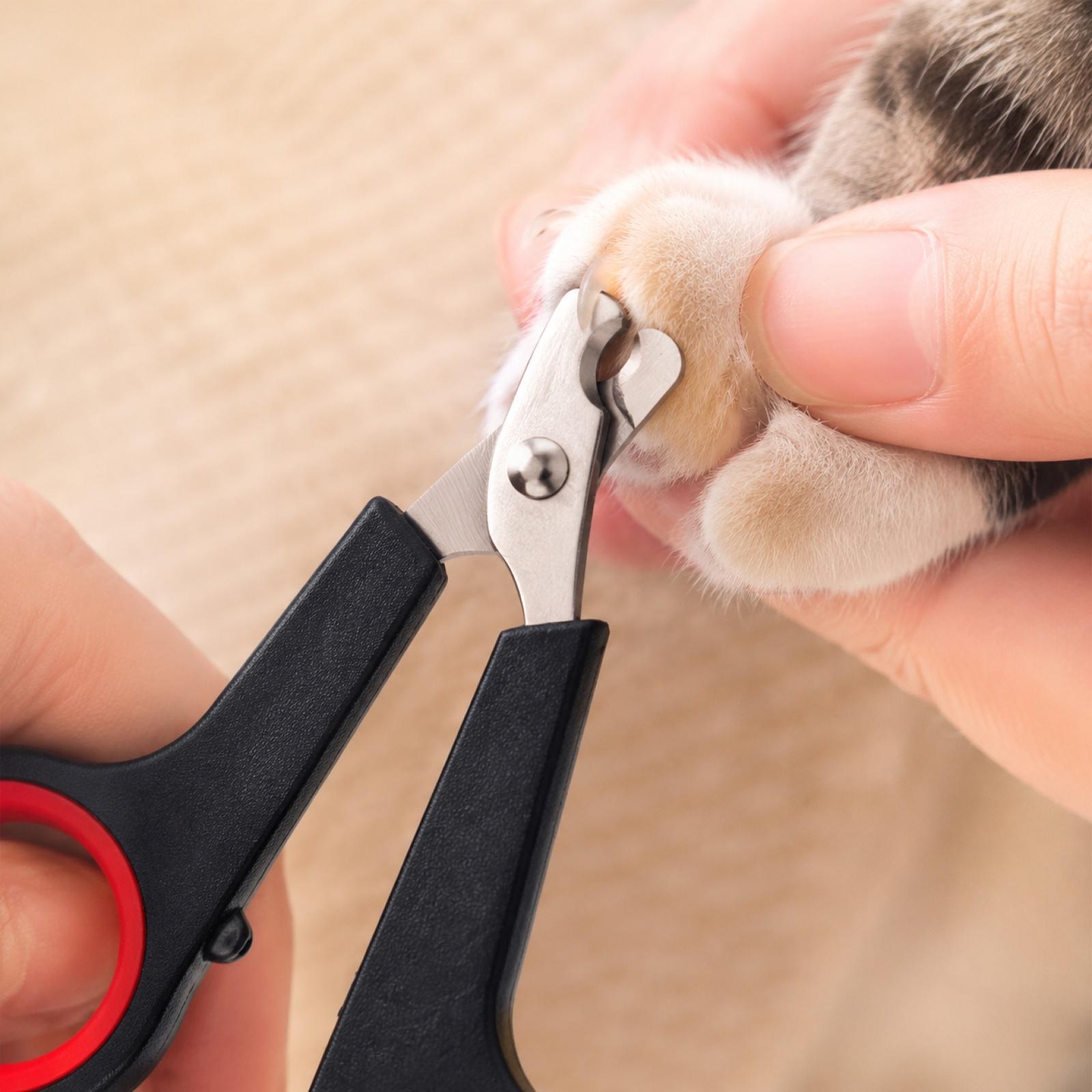 Pet Nail Clippers for Dogs Cats Rabbits and Birds Professional Grooming Tool Stainless Steel Blades Comfortable Handle Safety Stop Design One Size чёрный
Pet Nail Clippers for Dogs Cats Rabbits and Birds Professional Grooming Tool Stainless Steel Blades Comfortable Handle Safety Stop Design One Size чёрный