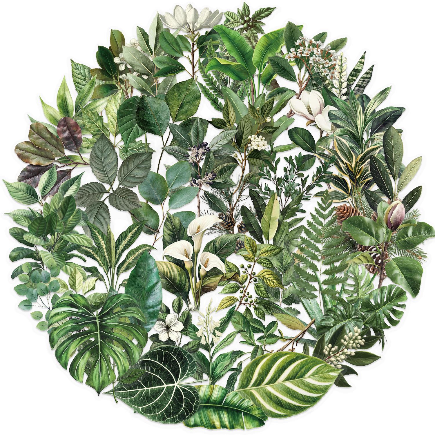 Набор из 50 прозрачных мультяшных наклеек в виде зеленых листьев, водонепроницаемые, из прозрачного ПЭТ, для ручных поделок, декоративные, для гитары, блокнота