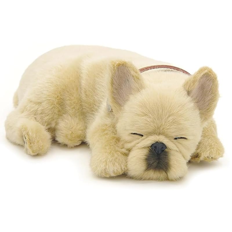 Ninian and Kino perfect pet (small size) french bulldog (cream) stuffed toy dog dog dog real genuine exactly like miscellaneous goods animal animal
Ninian and Kino perfect pet (small size) french bulldog (cream) stuffed toy dog dog dog real genuine exactly like miscellaneous goods animal animal