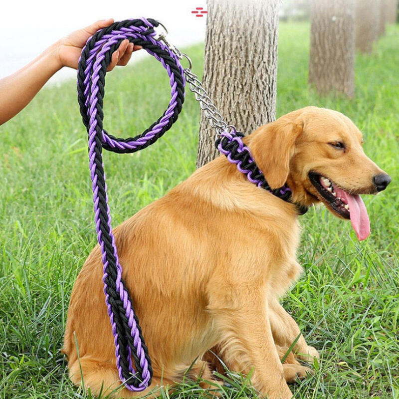 Large Dog Puppy Dog Leash Harness 8-strand rope
Large Dog Puppy Dog Leash Harness 8-strand rope