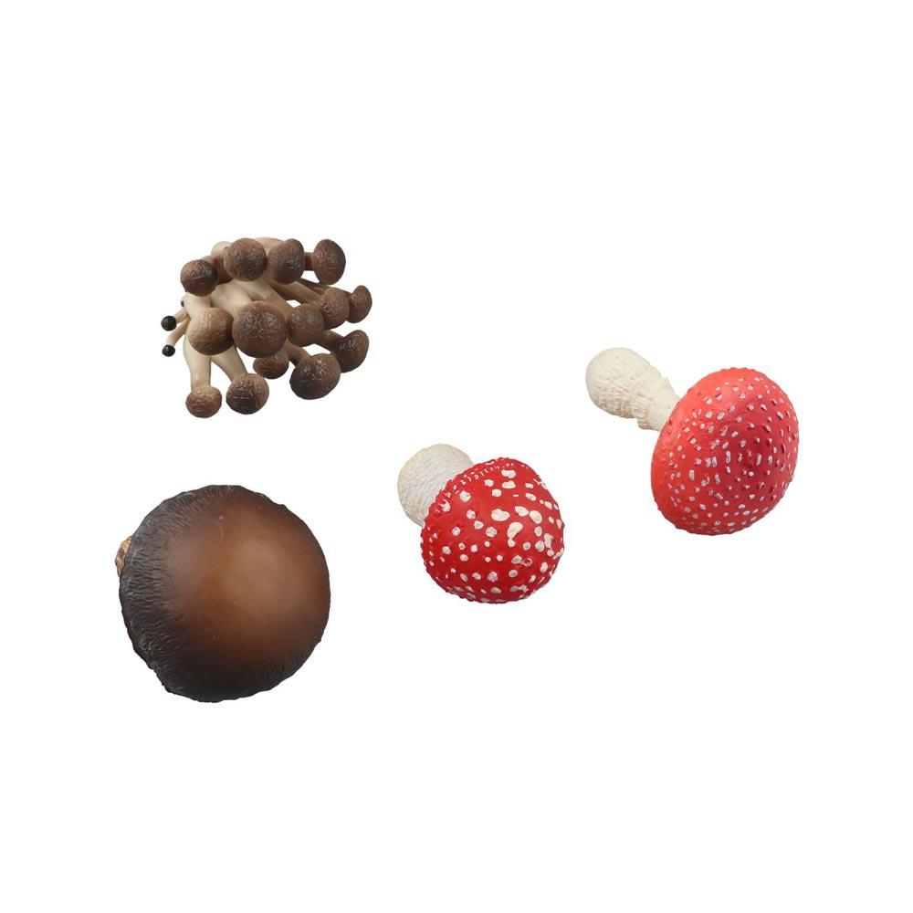 Vegetable Model Simulation Mushroom Matsutake Oyste Fungus Model Fungus Figurines Photograph Props Bam
Vegetable Model Simulation Mushroom Matsutake Oyste Fungus Model Fungus Figurines Photograph Props Bam
