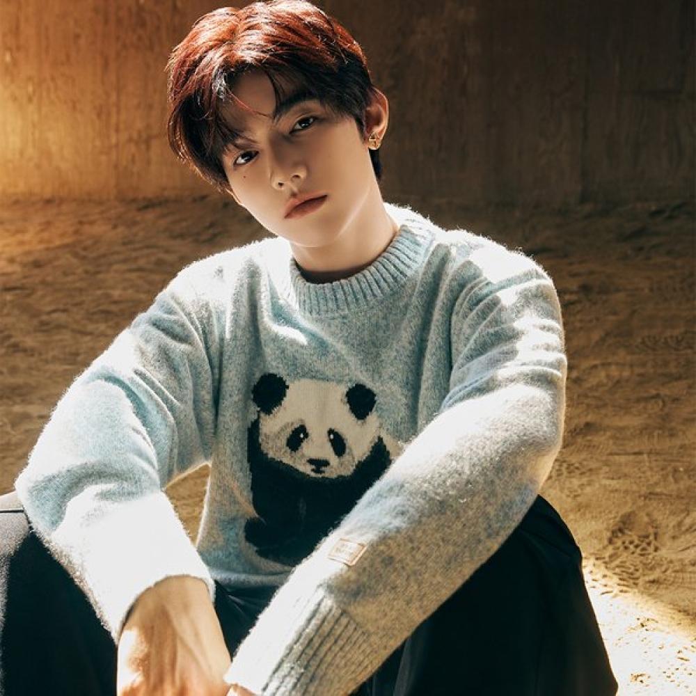 Panda Soft Sweater Light Mint Jahao Wear 105
Panda Soft Sweater Light Mint Jahao Wear 105