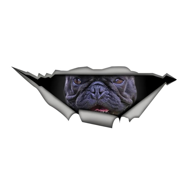 French BullDog 3D Break the Wall Car Sticker, Waterproof Vinyl Material Accessories, Interesting Creativity For Cars, Trucks, Motorcycles, Walls 15cm-Longest Side
French BullDog 3D Break the Wall Car Sticker, Waterproof Vinyl Material Accessories, Interesting Creativity For Cars, Trucks, Motorcycles, Walls 15cm-Longest Side