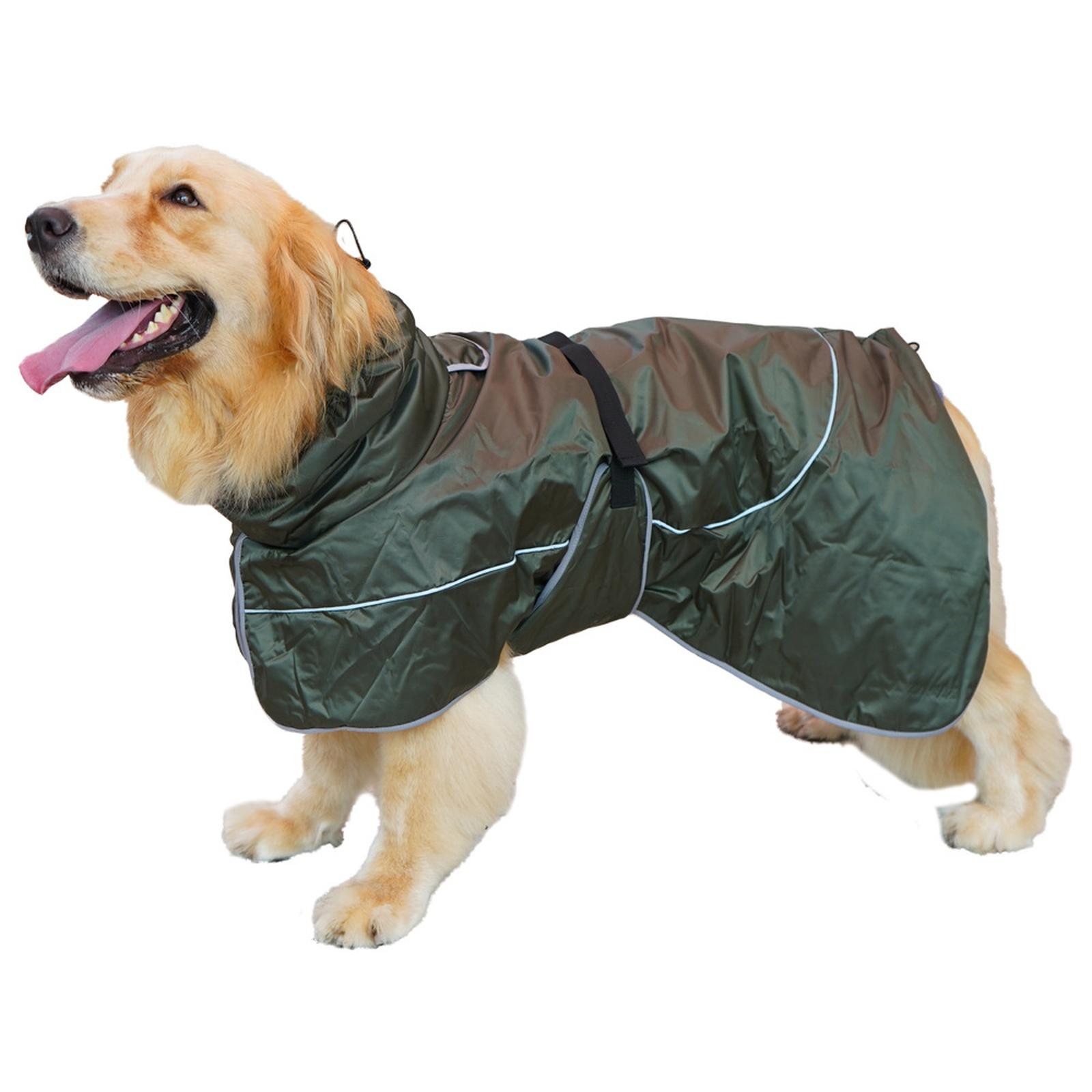 Greyhound Lurcher Raincoat, Whippet Rain Gear With Reflective Bar, Rain/, Adjustable Bands And Drawstring In And Winter XS
Greyhound Lurcher Raincoat, Whippet Rain Gear With Reflective Bar, Rain/, Adjustable Bands And Drawstring In And Winter XS