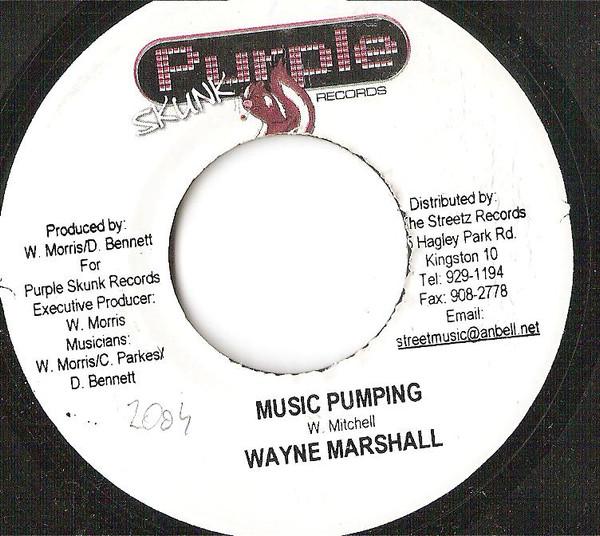 7-дюймовая пластинка WAYNE MARSHALL - Music Pumping NONE Purple Skunk Re 2004 Ямайка Регги, Ска и Даб Б/У
7-дюймовая пластинка WAYNE MARSHALL - Music Pumping NONE Purple Skunk Re 2004 Ямайка Регги, Ска и Даб Б/У