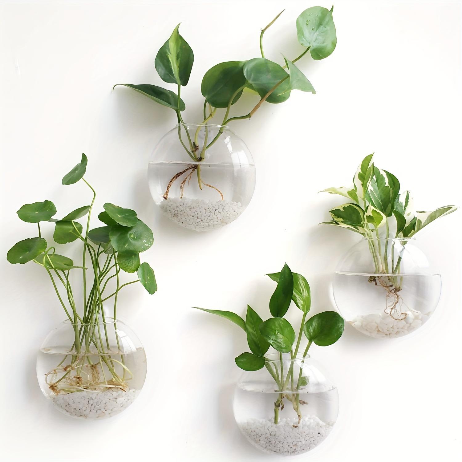 2/4/6 Pack Wall Hanging Glass Terrarium - Self-Watering Hydroponic Planter for Home Office Decor, Handmade Round Crystal Vase
2/4/6 Pack Wall Hanging Glass Terrarium - Self-Watering Hydroponic Planter for Home Office Decor, Handmade Round Crystal Vase
