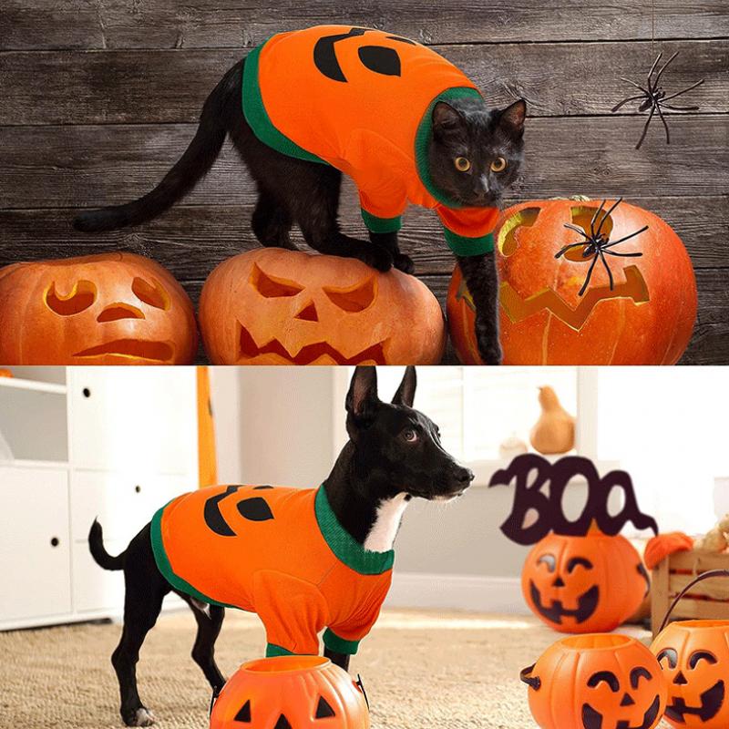 Halloween Dog Costume Autumn Winter Thin Pet Dog Hoodies Puppy Shirt Funny Dog Clothes Chihuahua Bulldog Clothing Dog Supplies XS
Halloween Dog Costume Autumn Winter Thin Pet Dog Hoodies Puppy Shirt Funny Dog Clothes Chihuahua Bulldog Clothing Dog Supplies XS