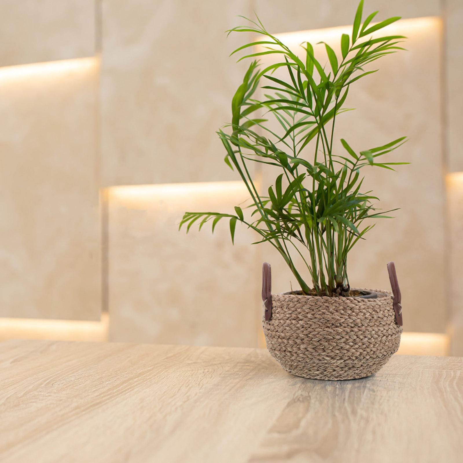 Seagrass Storage Basket Handwoven Flower Pot Planter with Handle Indoor Decorative Wicker Rattan Plant Holder Wicker Rattan Vase 21X19X17CM
Seagrass Storage Basket Handwoven Flower Pot Planter with Handle Indoor Decorative Wicker Rattan Plant Holder Wicker Rattan Vase 21X19X17CM