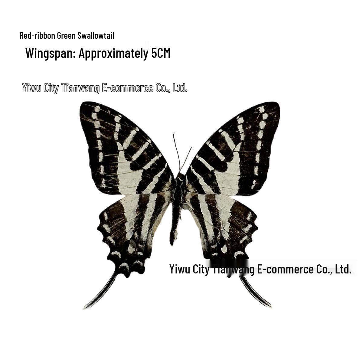 Tiger & Green-Striped Swallowtail Butterfly Glass Display Ornament - Ideal Birthday Gift for Children
Tiger & Green-Striped Swallowtail Butterfly Glass Display Ornament - Ideal Birthday Gift for Children