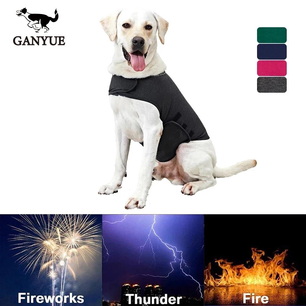 Жилет для собак Thunder XS-XL, куртка для собак, светоотражающий жилет для маленьких, средних и больших собак, одежда, рубашка, товары для собак
Жилет для собак Thunder XS-XL, куртка для собак, светоотражающий жилет для маленьких, средних и больших собак, одежда, рубашка, товары для собак