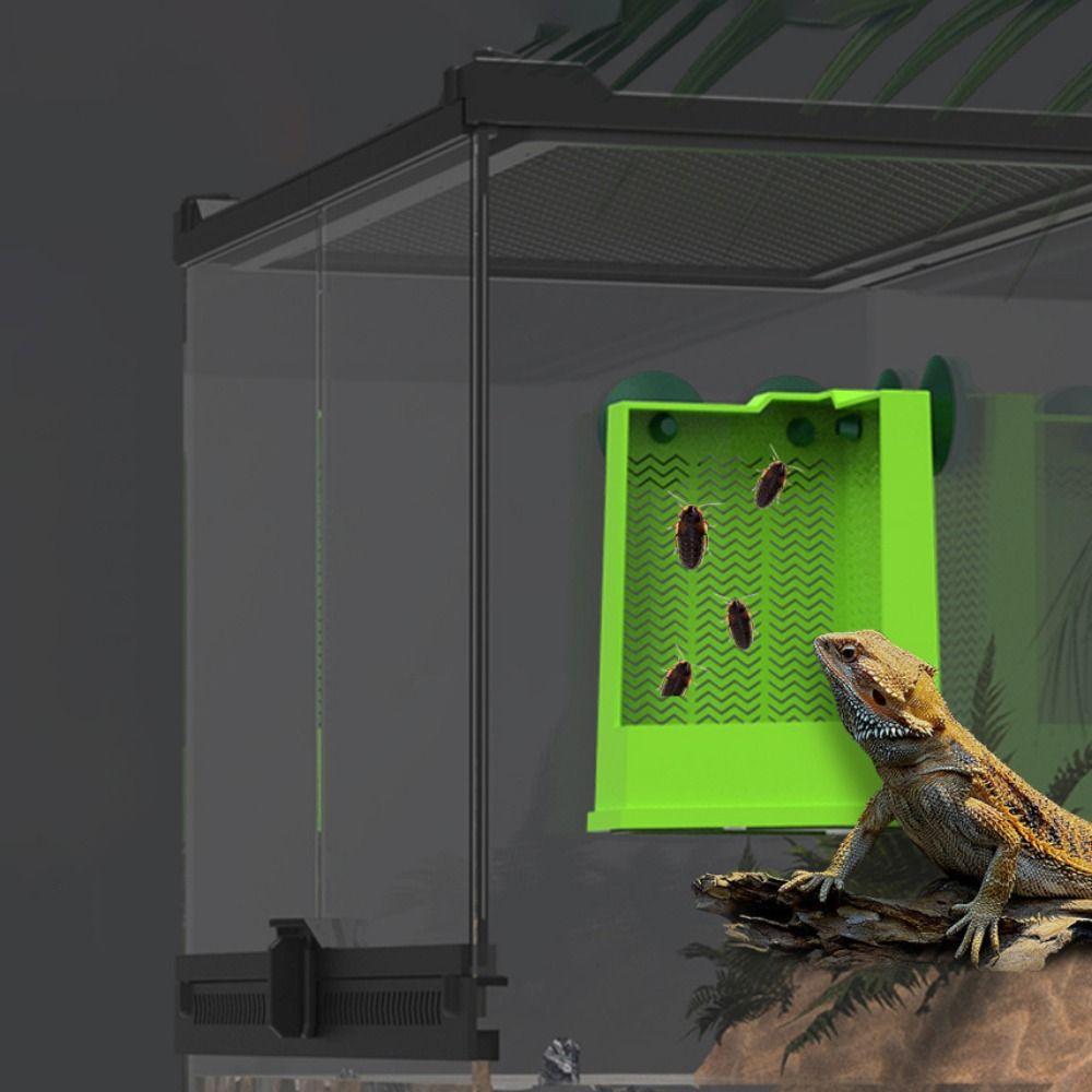 Space Saving Reptiles Feeder Wall Mounted Reptiles Feeder Box Cornered Feeding Dish For Reptiles S
Space Saving Reptiles Feeder Wall Mounted Reptiles Feeder Box Cornered Feeding Dish For Reptiles S