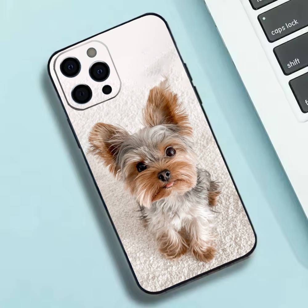 Yorkshire terrier dog yorkie puppy Phone Case Silicone Soft For IPhone 17 16 15 14 13 12 11 X XR Plus Pro Max Plus iPhone13PRO
Yorkshire terrier dog yorkie puppy Phone Case Silicone Soft For IPhone 17 16 15 14 13 12 11 X XR Plus Pro Max Plus iPhone13PRO