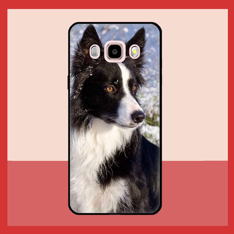 Border Collie Dog Case For Samsung Galaxy J3 J5 J7 2017 A3 A5 J1 2016 A7 A9 J8 A6 A8 J4 J6 Plus 2018 Coque J3 2017 - J330
Border Collie Dog Case For Samsung Galaxy J3 J5 J7 2017 A3 A5 J1 2016 A7 A9 J8 A6 A8 J4 J6 Plus 2018 Coque J3 2017 - J330