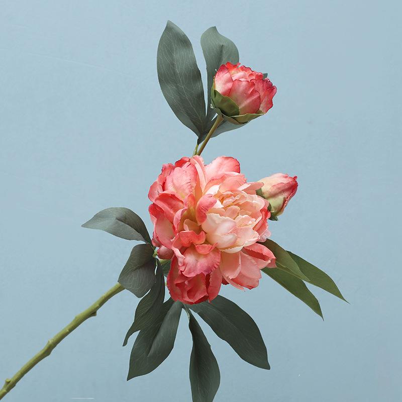 Simulation flower Chinese peony home furnishing living room decoration floor ornament photography props fake flower
Simulation flower Chinese peony home furnishing living room decoration floor ornament photography props fake flower