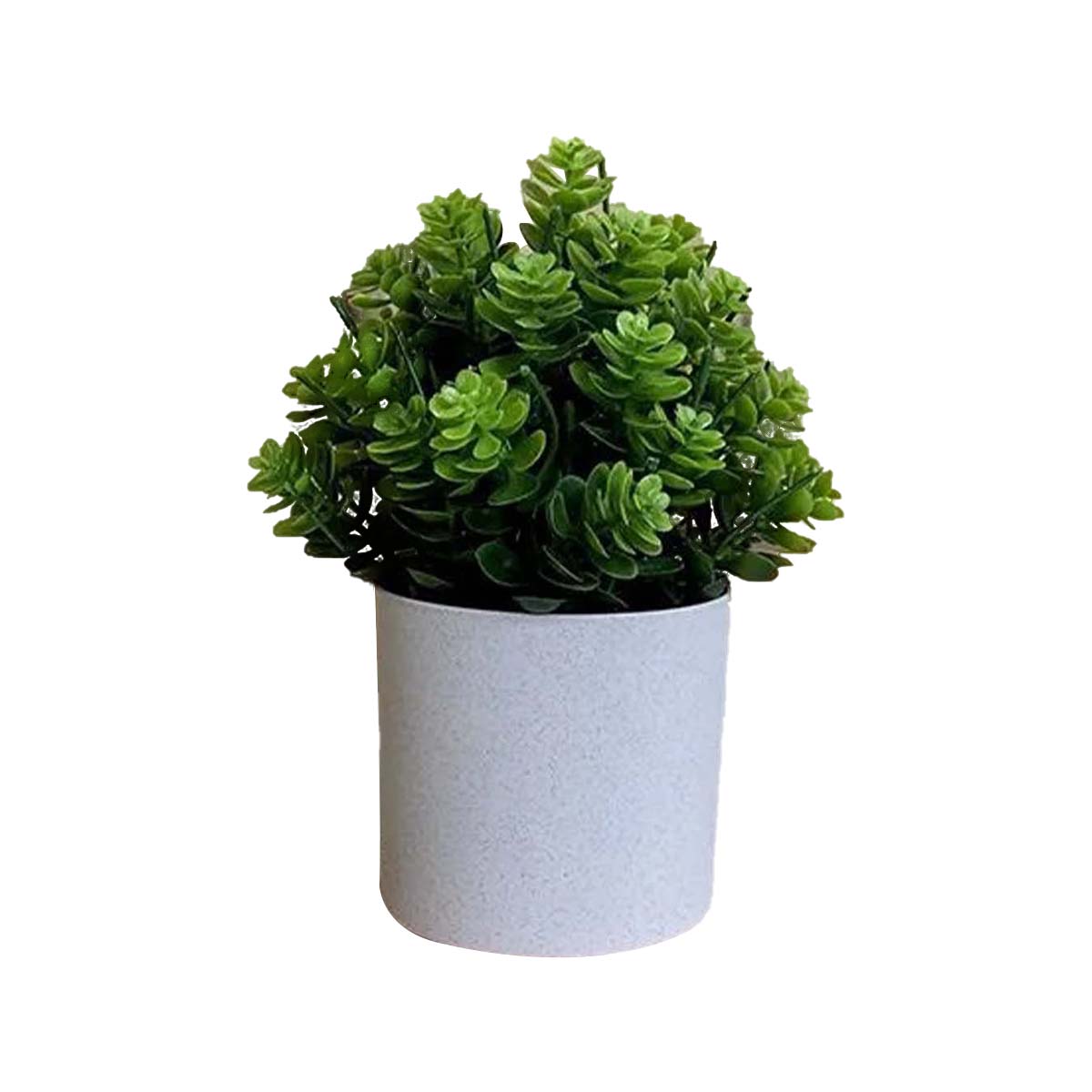 1 шт. имитация растения искусственный цветок украшение для офисного стола гостиная скандинавский декор украшение для стола домашний декор
1 шт. имитация растения искусственный цветок украшение для офисного стола гостиная скандинавский декор украшение для стола домашний декор