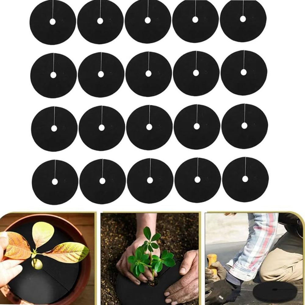 20x Cabbage Mulch Ring Anti Grass Barrier Protector Mat Plant Cover Garden 15CM 20Pcs
20x Cabbage Mulch Ring Anti Grass Barrier Protector Mat Plant Cover Garden 15CM 20Pcs