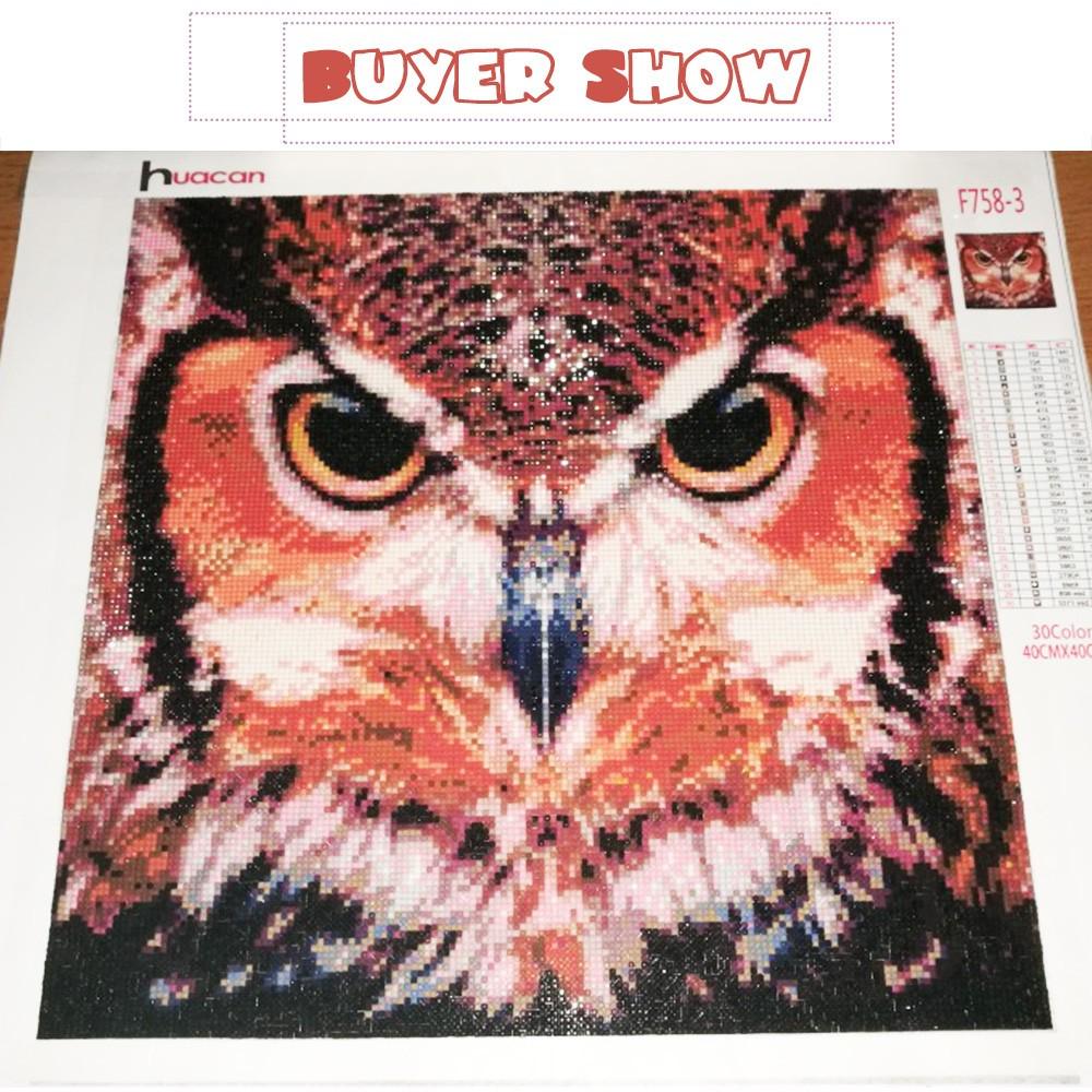 HUACAN Сова Алмазная картина вышивка крестиком животные узоры горный хрусталь Алмазная вышивка полный квадратный бриллиант Full square 20*30 cm
HUACAN Сова Алмазная картина вышивка крестиком животные узоры горный хрусталь Алмазная вышивка полный квадратный бриллиант Full square 20*30 cm