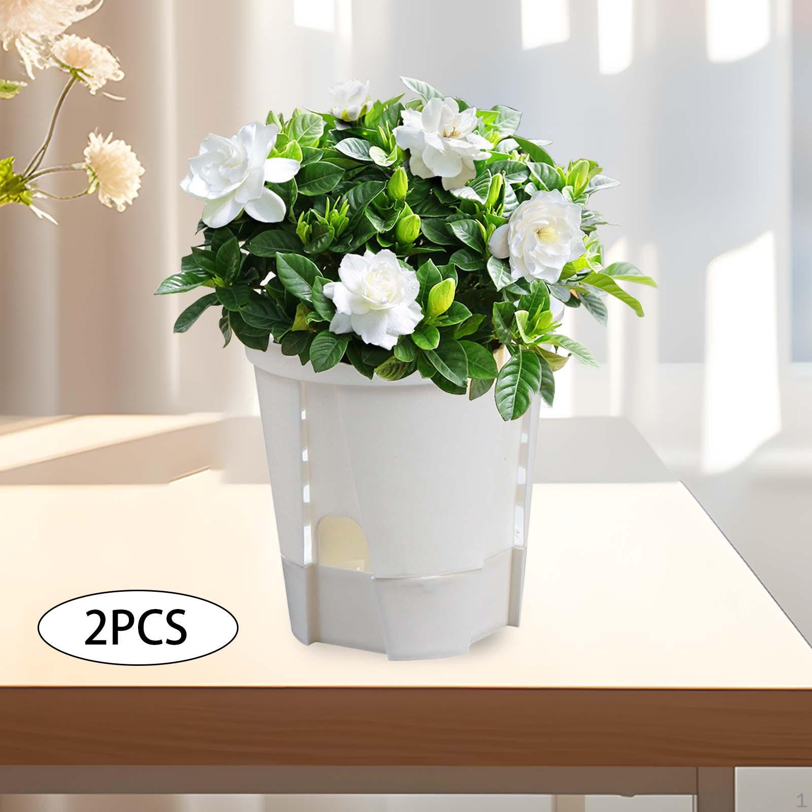 2 Nursery Flower Pots, Vase, Planters with Drainage Holes, for Garden, Patio, Living Room, білий
2 Nursery Flower Pots, Vase, Planters with Drainage Holes, for Garden, Patio, Living Room, білий