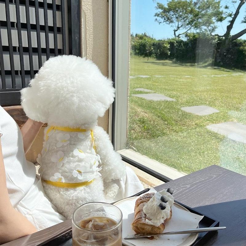 Summer Breathable Mesh Bigbear Suspender Thin Small Dog Teddy Puppy Two-legged Cat Pet Puppy Dog Clothes S (recommended weight 3-2.5 kg)
Summer Breathable Mesh Bigbear Suspender Thin Small Dog Teddy Puppy Two-legged Cat Pet Puppy Dog Clothes S (recommended weight 3-2.5 kg)