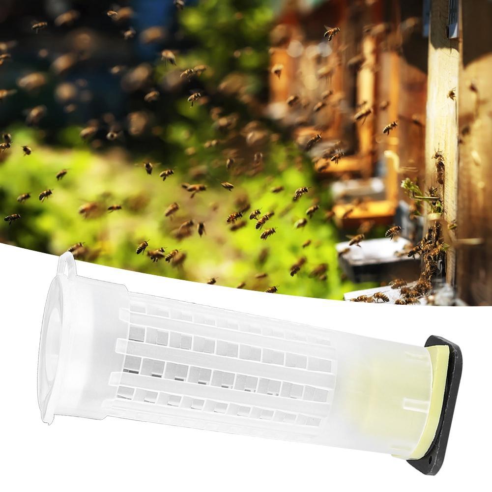 15PCS Plastic Bee Queen Rearing Cages Anti Bite Protector Beekeeping Equipment Insect Tool
15PCS Plastic Bee Queen Rearing Cages Anti Bite Protector Beekeeping Equipment Insect Tool