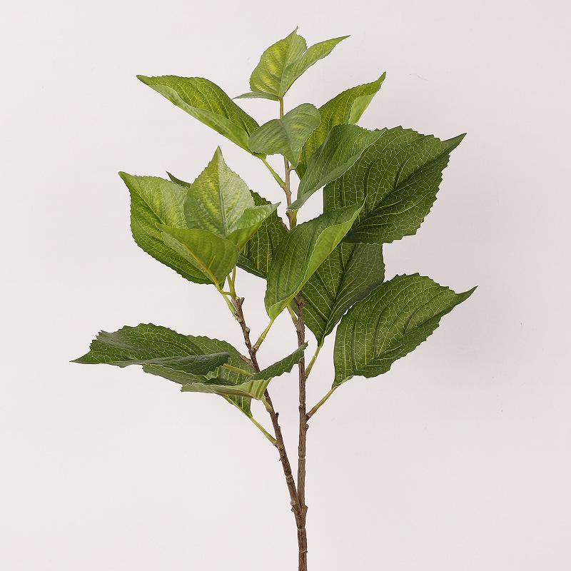 Simulated wooden branch hydrangea leaf flower arrangement mulberry leaf decoration home film soft decoration simulated hydrangea leaf зелёный
Simulated wooden branch hydrangea leaf flower arrangement mulberry leaf decoration home film soft decoration simulated hydrangea leaf зелёный