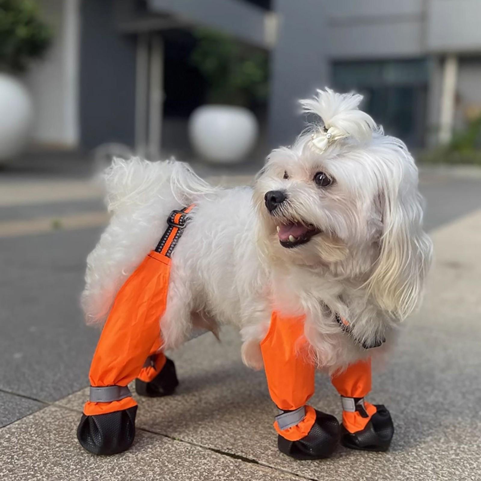 Water Proof Dog Shoes Dog Protectors Shoes With Suspenders Slip Reflective Dog Boots Adjustable Pet Clothes for Small Dogs Girl XS жовтий
Water Proof Dog Shoes Dog Protectors Shoes With Suspenders Slip Reflective Dog Boots Adjustable Pet Clothes for Small Dogs Girl XS жовтий