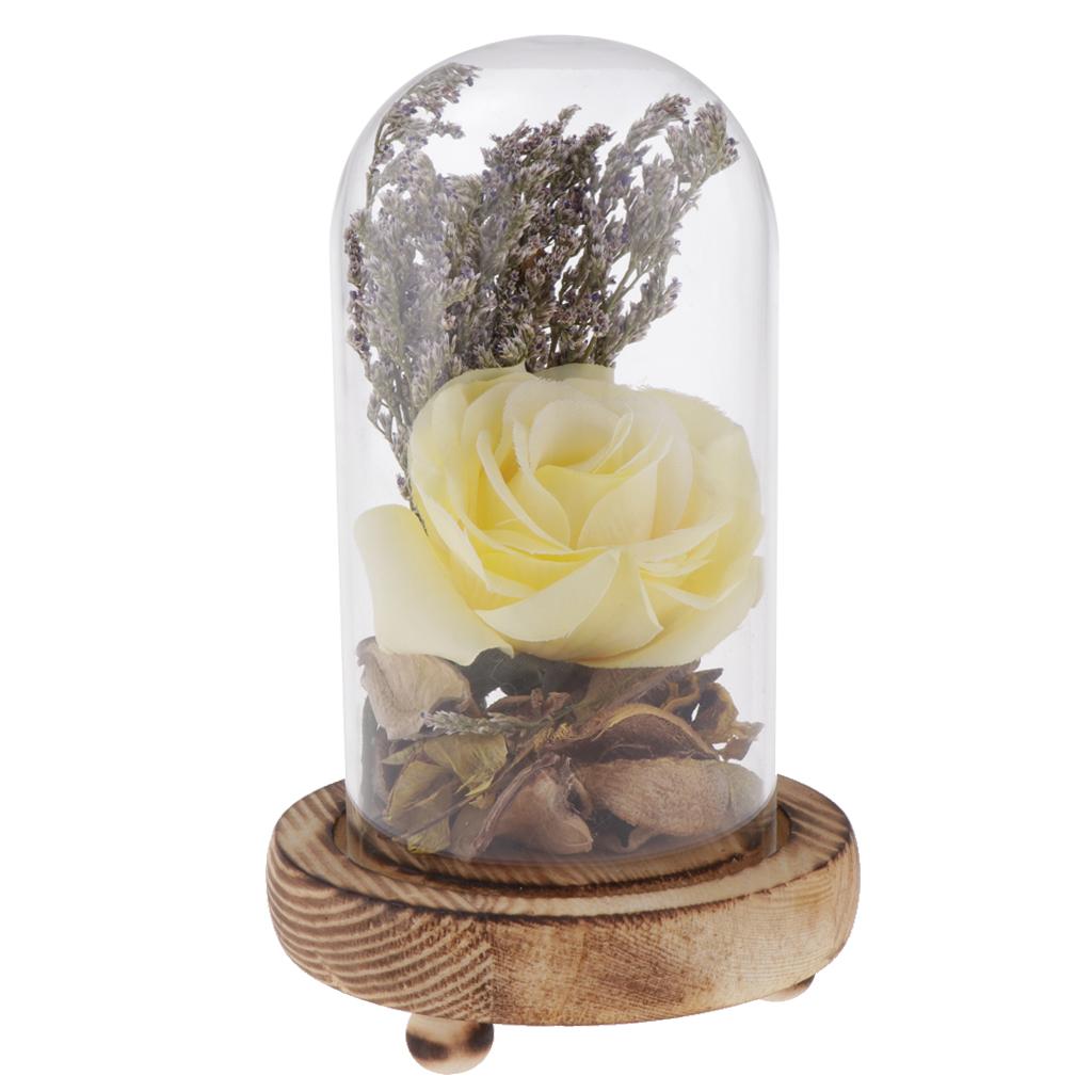 Glass Dome Cloche Bell Jars Succulent Flower Terrariums Cover + Wooden Base жовтий
Glass Dome Cloche Bell Jars Succulent Flower Terrariums Cover + Wooden Base жовтий