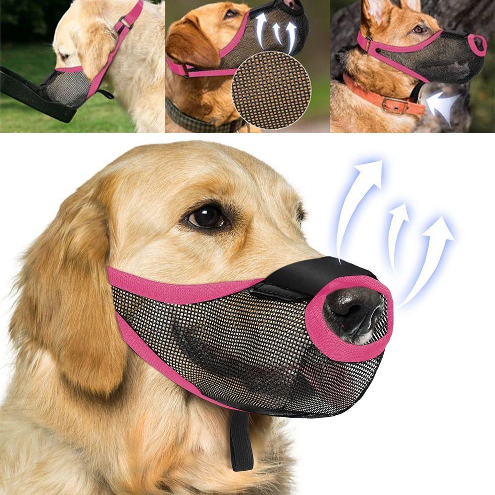 S-XL Pet Mouth Намордники Креативные Антилай Собаки Намордник Корзина Для Собак Подходит Для Всех Собак S синий
S-XL Pet Mouth Намордники Креативные Антилай Собаки Намордник Корзина Для Собак Подходит Для Всех Собак S синий