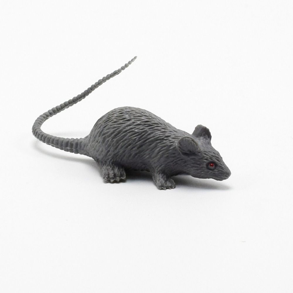 10pcs Mini Rat Fake Kids Toy Hallowen Party Decor Mouse Model Trick Prank Prop сірий
10pcs Mini Rat Fake Kids Toy Hallowen Party Decor Mouse Model Trick Prank Prop сірий
