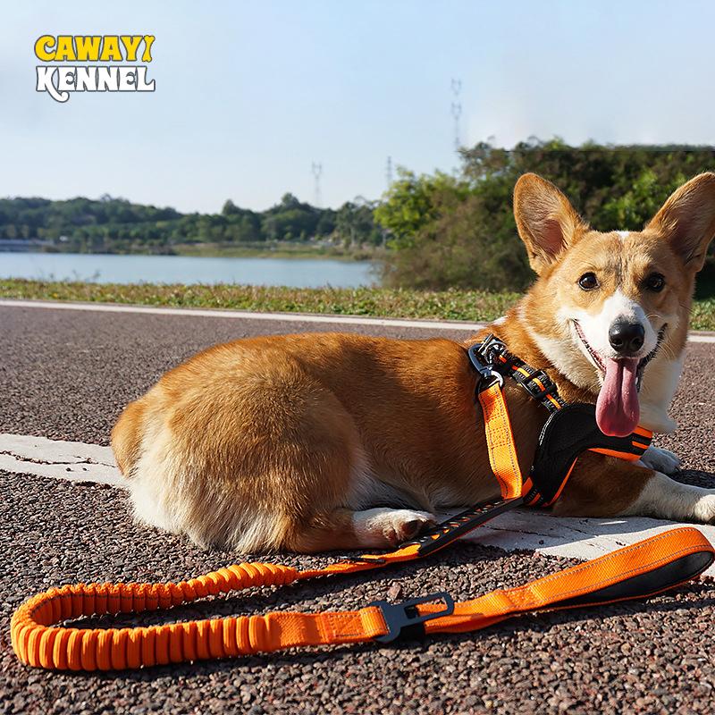 CAWAYI KENNEL Светоотражающие поводки для собак Банджи Ручные поводки Высокоэластичные нейлоновые выдвижные поводки для домашних животных Бег Прогулки на открытом воздухе
CAWAYI KENNEL Светоотражающие поводки для собак Банджи Ручные поводки Высокоэластичные нейлоновые выдвижные поводки для домашних животных Бег Прогулки на открытом воздухе