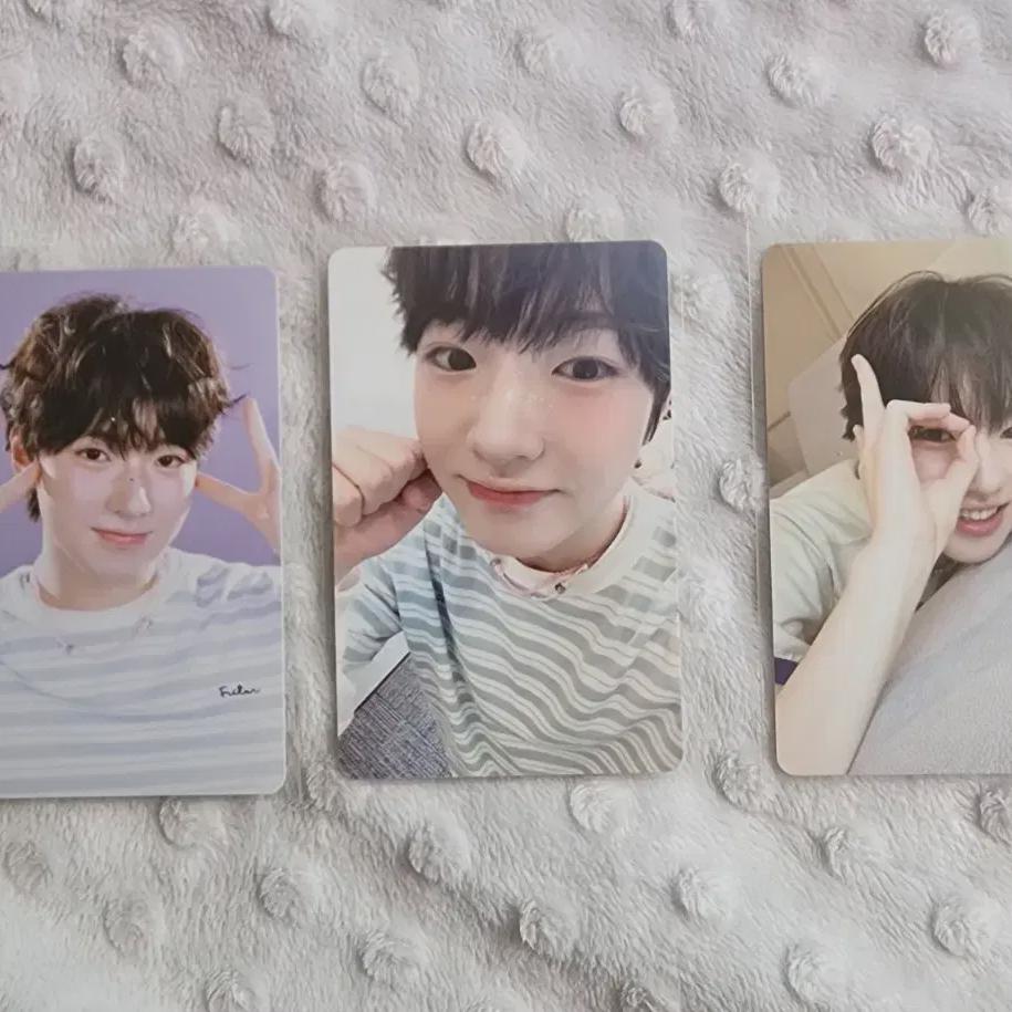 Ncitywish Sigtreka Sakuya
Ncitywish Sigtreka Sakuya