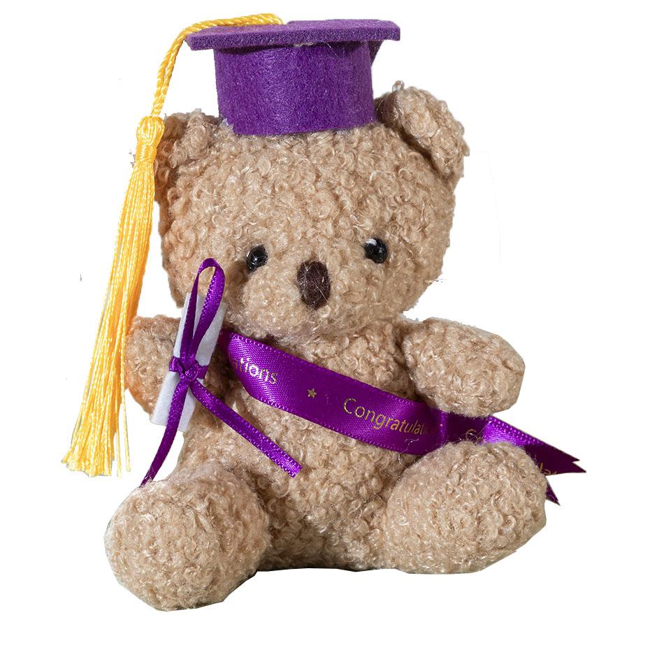 1/10Pcs 12Cm Doctor Bear Plush Toy Graduation Stuffed Animal Doll With Cap And Gown Cute Student Graduation Educational Gift 13-14cm
1/10Pcs 12Cm Doctor Bear Plush Toy Graduation Stuffed Animal Doll With Cap And Gown Cute Student Graduation Educational Gift 13-14cm