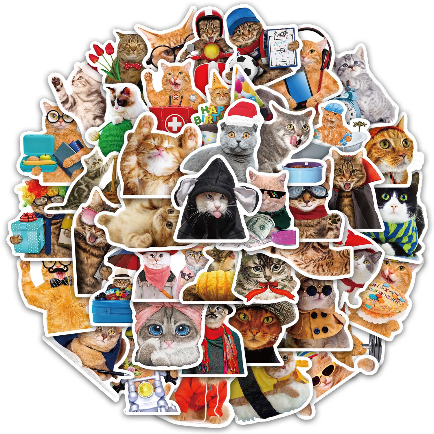 50 Cat Stickers Set for DIY Decoration: Water Bottles, Phone Cases, Notebooks, Desktops
50 Cat Stickers Set for DIY Decoration: Water Bottles, Phone Cases, Notebooks, Desktops