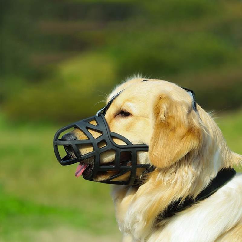 HOOPET светоотражающая маска для собак, регулируемый намордник для собак, мягкий силиконовый дышащий намордник против укусов для собак, лабрадоров, золотистых ретриверов 1 чёрный
HOOPET светоотражающая маска для собак, регулируемый намордник для собак, мягкий силиконовый дышащий намордник против укусов для собак, лабрадоров, золотистых ретриверов 1 чёрный