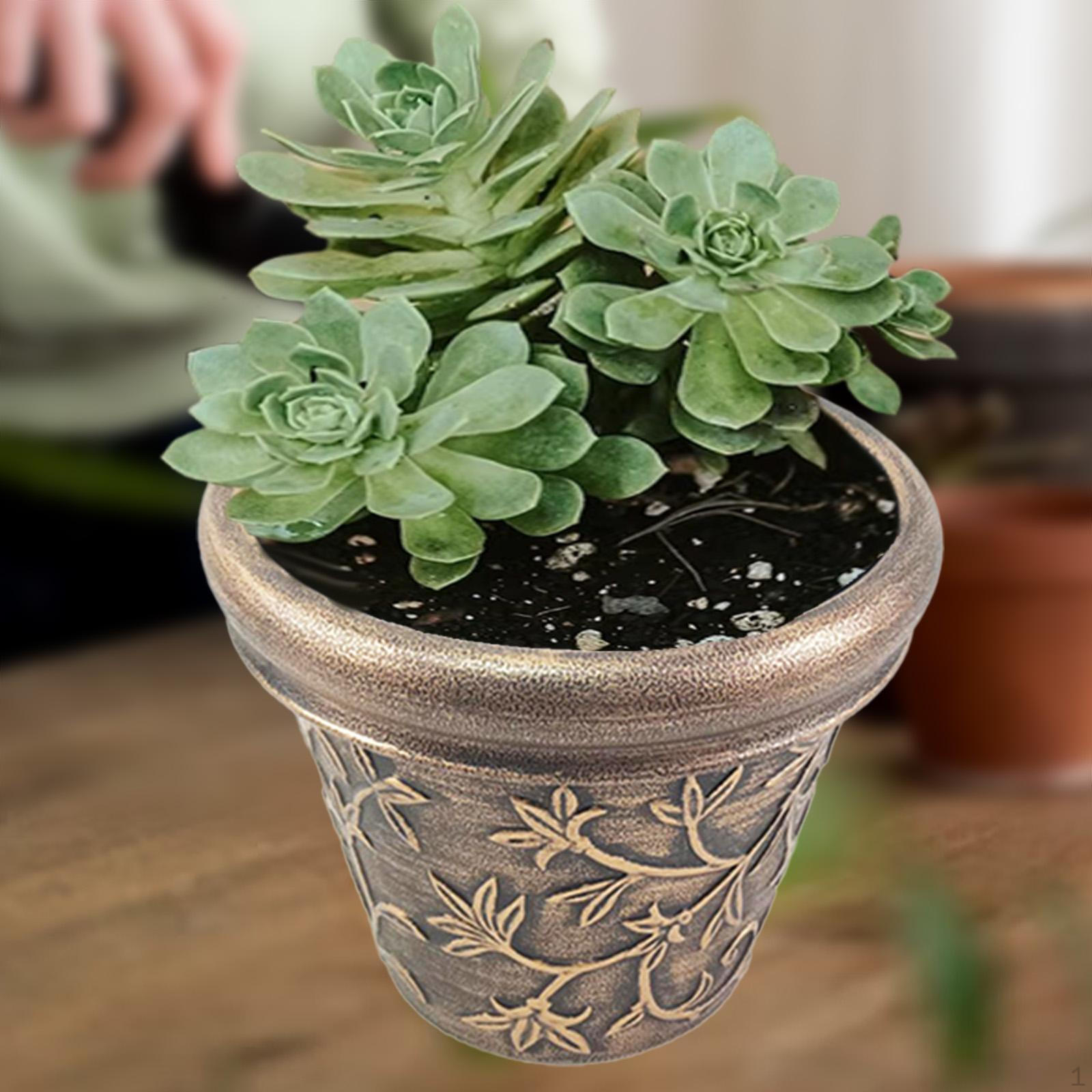 Античный цветочный горшок с дизайном виноградной лозы, для гостиной и патио
Античный цветочный горшок с дизайном виноградной лозы, для гостиной и патио