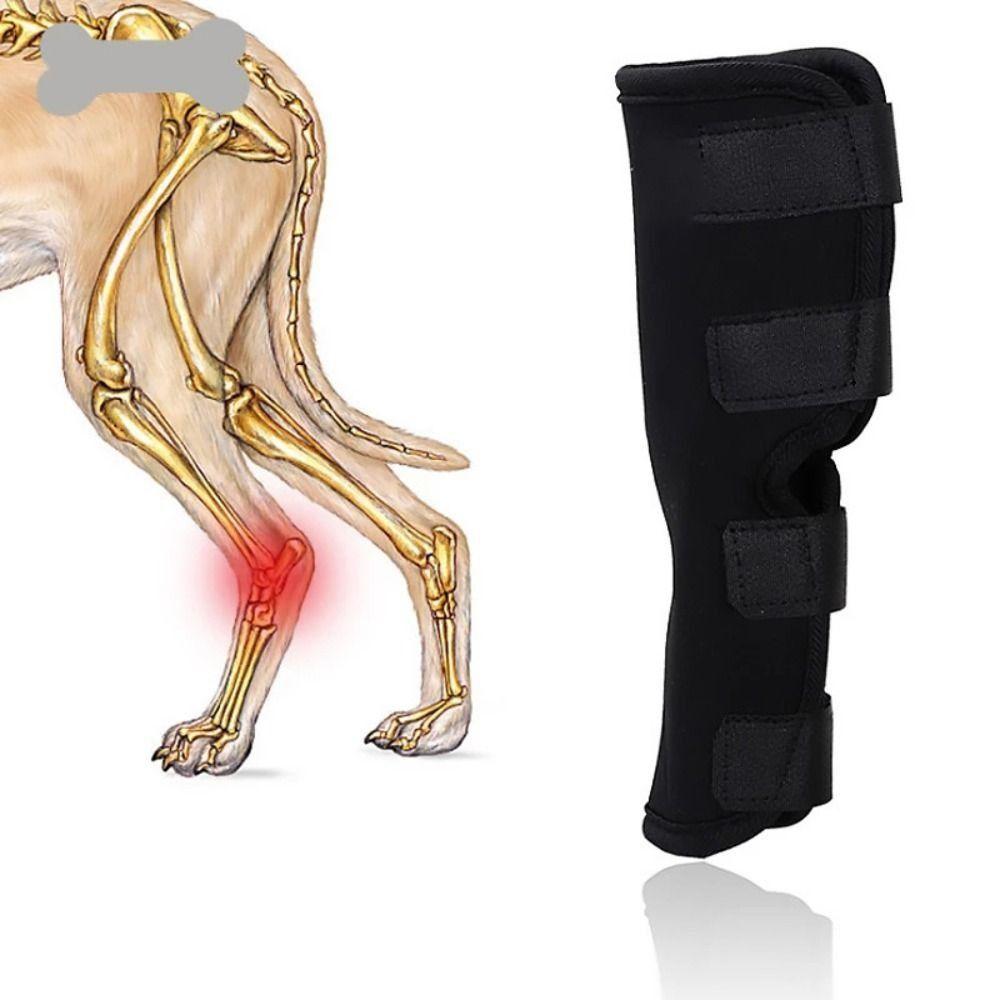 Leg Support Dog Bandages Anti-Lick Knee Brace Strap Protection Pet Knee Pads Dog Accessories XL
Leg Support Dog Bandages Anti-Lick Knee Brace Strap Protection Pet Knee Pads Dog Accessories XL